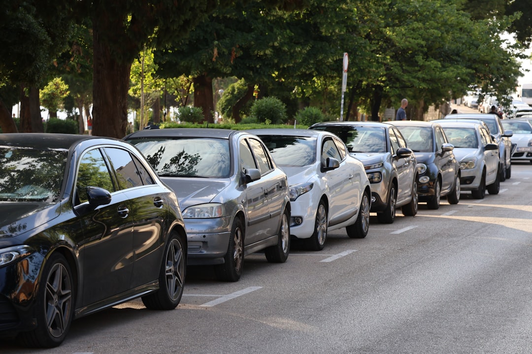 A quiet residential street lined with parked cars, the kind of everyday scene where school pickup line waiting happens
